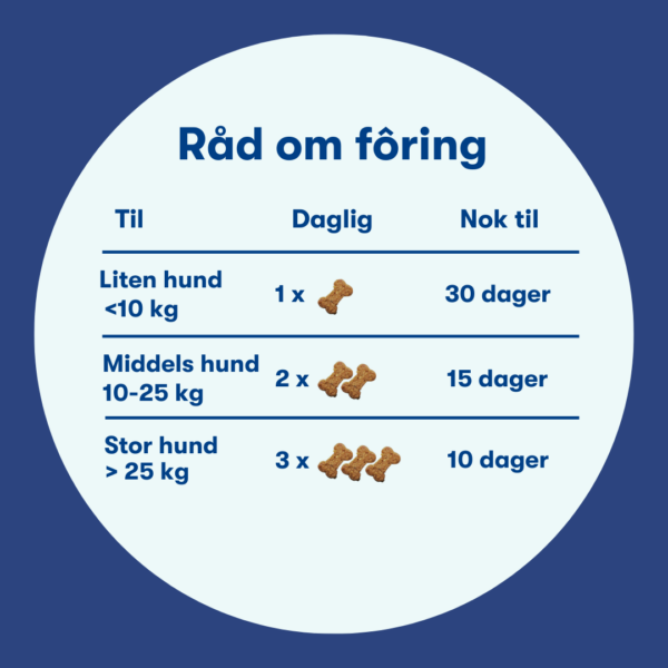 (Noors) (5) (Noors) (5)