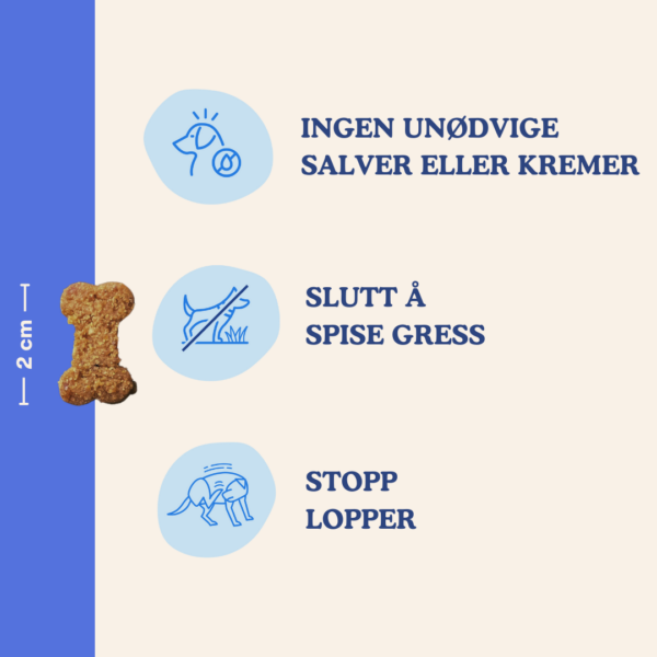 (Noors) (7) (Noors) (7)