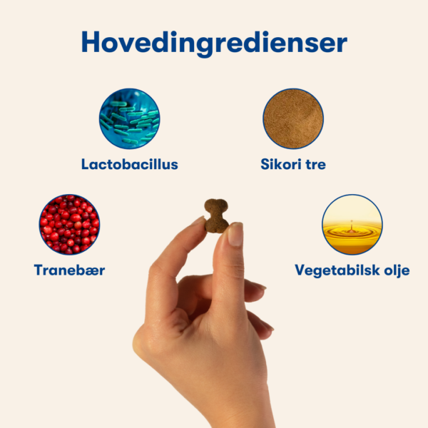 (Noors) (8) (Noors) (8)