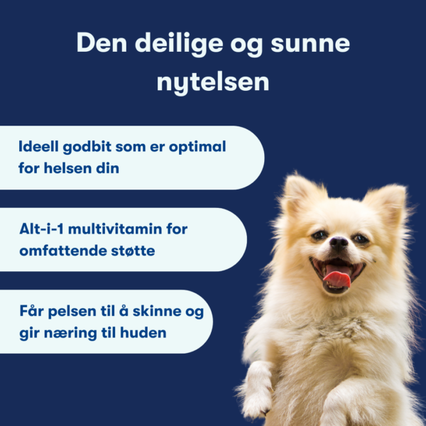 (Norwegian) (Deens) (12) (Norwegian) (Deens) (12)