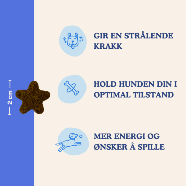 (Norwegian) Grootte - Snoepje + Benefits - Multivitamine (Norwegian) Grootte - Snoepje + Benefits - Multivitamine