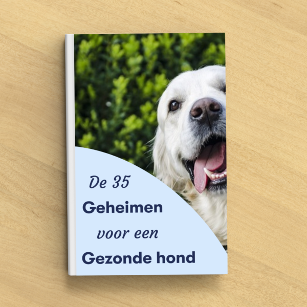 E-book-cover