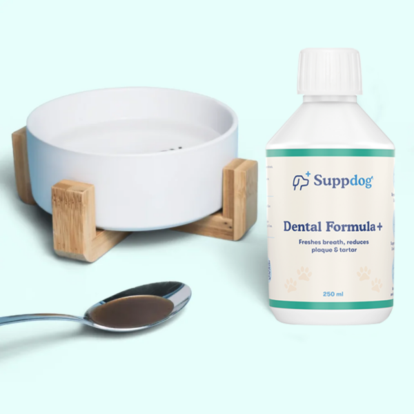 1-1024x1024 1-1024x1024