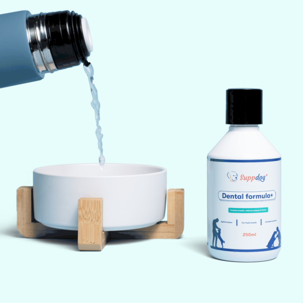 DSC00227-Edit DSC00227-Edit