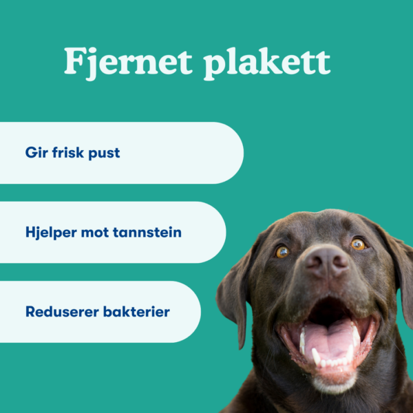 (Norwegian) (Deens) (6) (Norwegian) (Deens) (6)