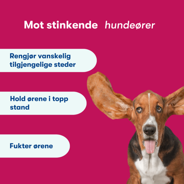 (Norwegian) (Deens) (16) (Norwegian) (Deens) (16)