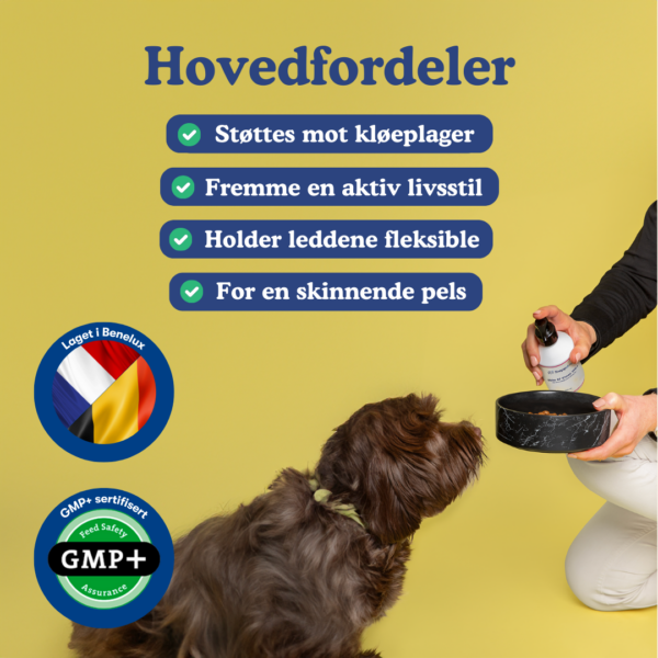 (Norwegian) (Danish) (2) (Norwegian) (Danish) (2)