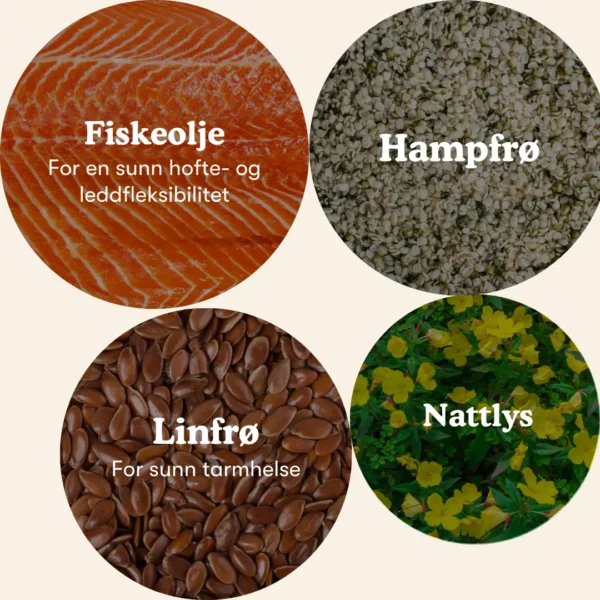 (Norwegian) (Danish) (3) (Norwegian) (Danish) (3)