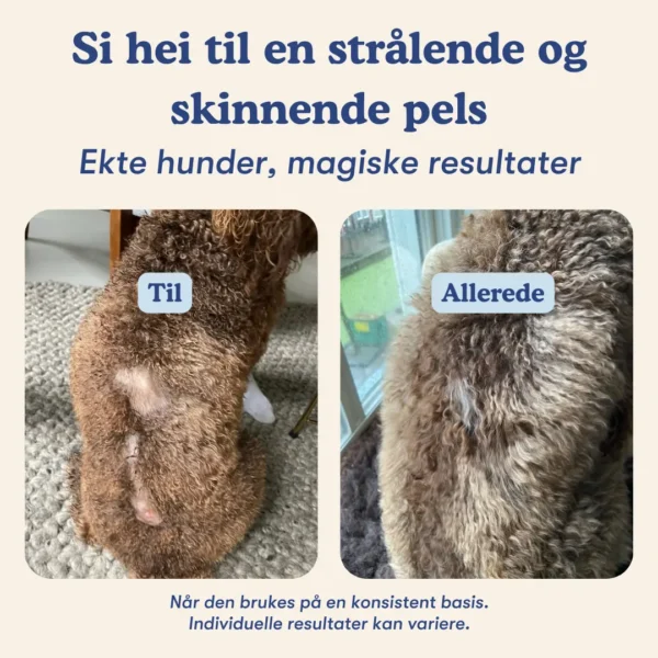 (Norwegian) (Danish) (4) (Norwegian) (Danish) (4)