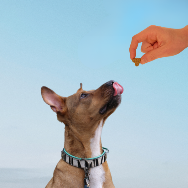 (Norwegian) (Danish) (5) (Norwegian) (Danish) (5)