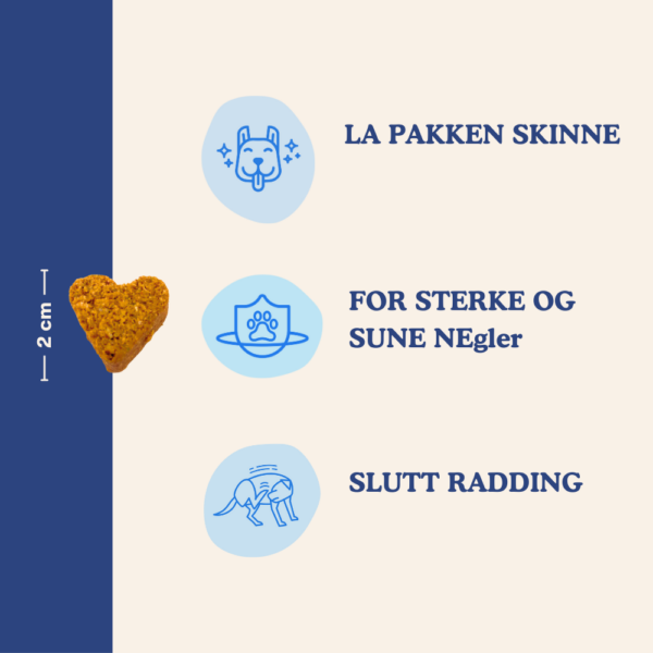 (Norwegian) (Danish) (9) (Norwegian) (Danish) (9)